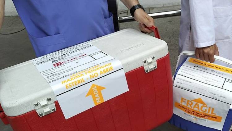 Cudaio: una donación pediátrica permitió tres trasplantes de órganos
