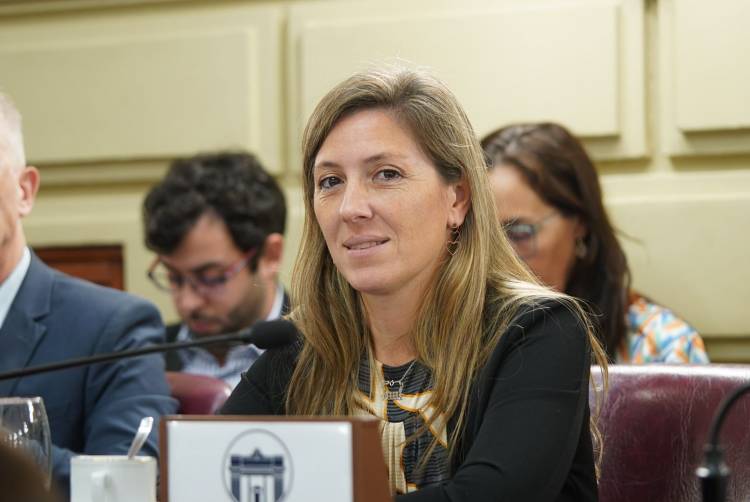 Armas Belavi rechazó la ley tributaria por abusiva