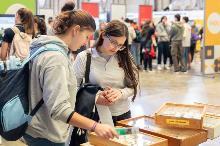 Ingreso 2025: la UNL registró 9905 aspirantes