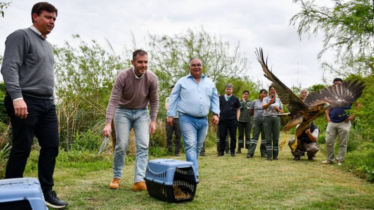 Biodiversidad: Provincia ya realizó 1.400 rescates de animales