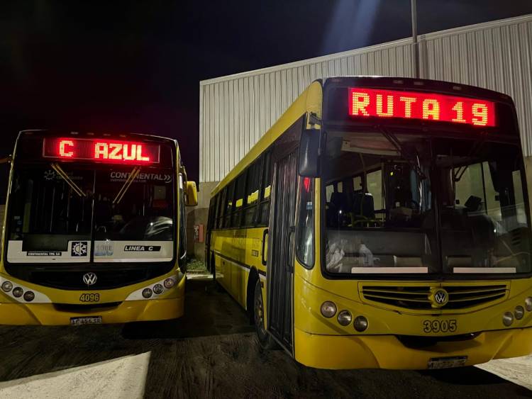 Nuevo ramal de la Línea C Azul: Ruta 19