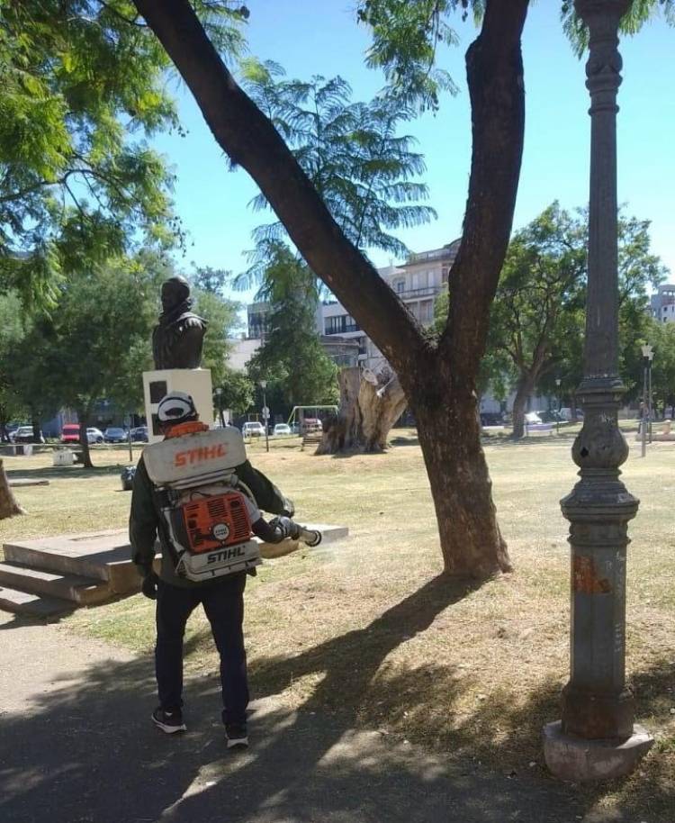 Se informa el cronograma de fumigaciones previsto para esta semana