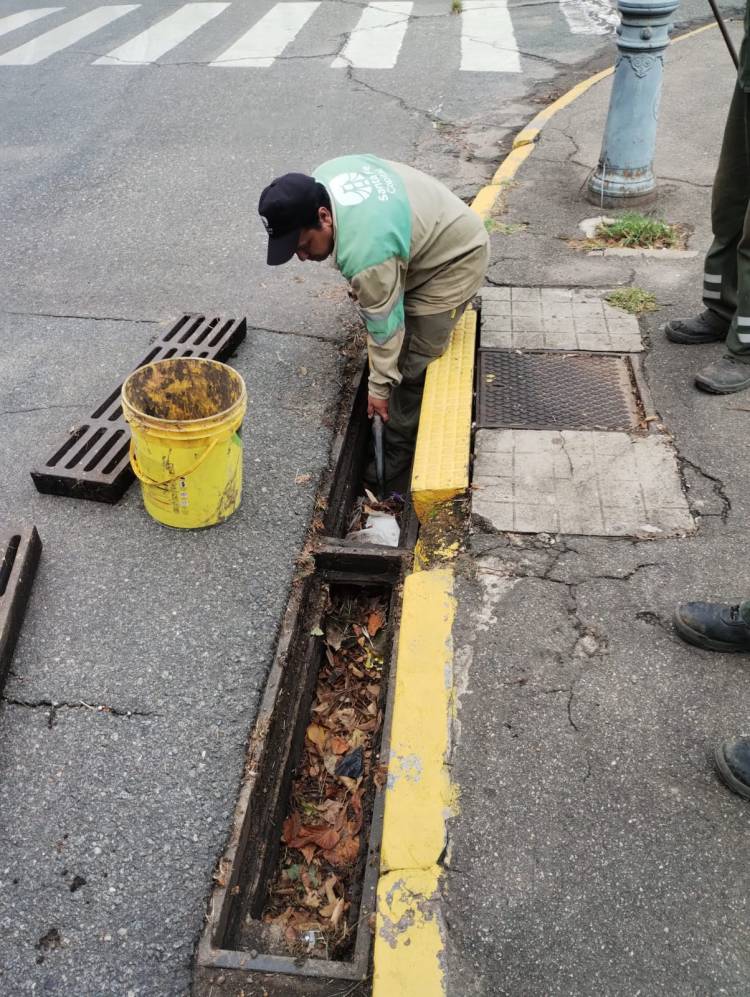 Ante el anuncio de intensas lluvias, se intensifica la limpieza y desobstrucción de desagües pluviales