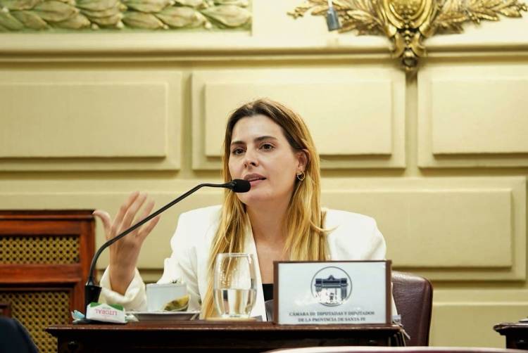 Cattalini presentó un recuso de amparo contra la designación de Lijo y García Mansilla