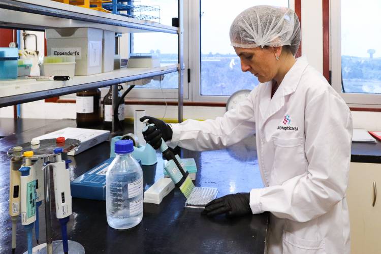 EE.UU otorgó patente a biomolécula creada en la UNL