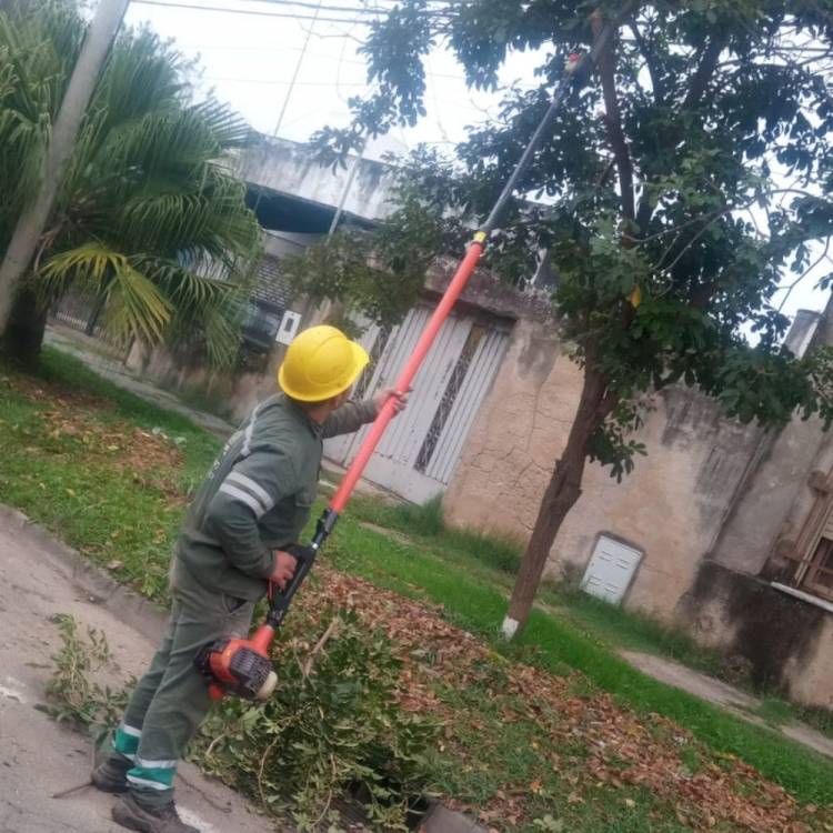 Plan de Poda: el Municipio comenzó con los trabajos en distintos barrios de Santa Fe