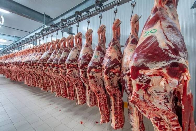 Radiografía del mercado cárnico en Santa Fe: suba del 6% en abril, menos consumo y tensión en la exportación