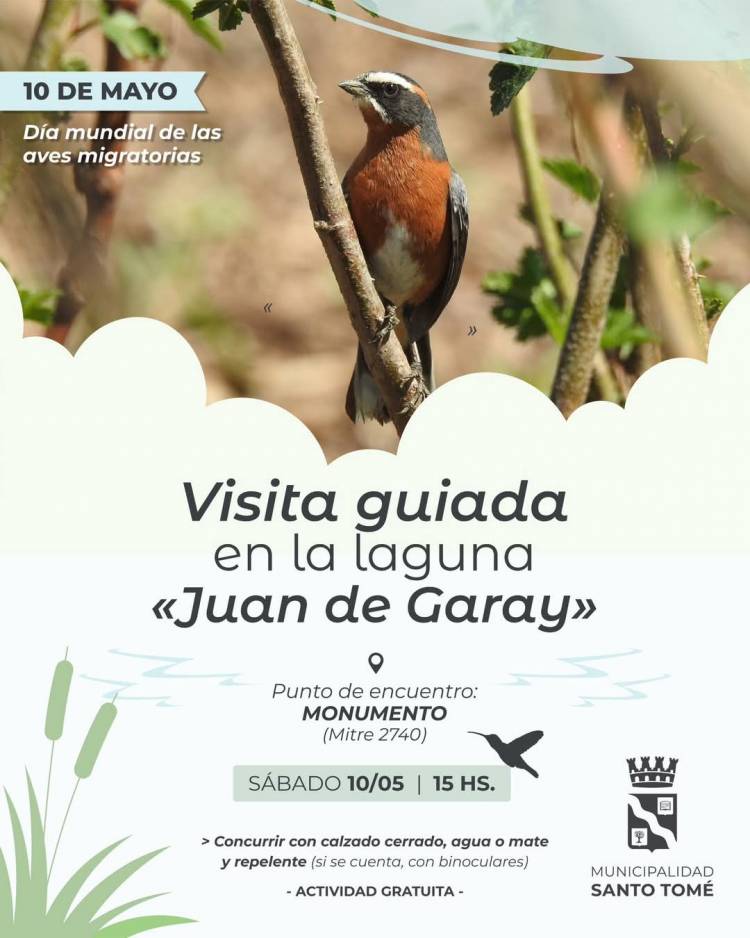 Se realizará una visita guiada por el Día Mundial de las Aves Migratorias