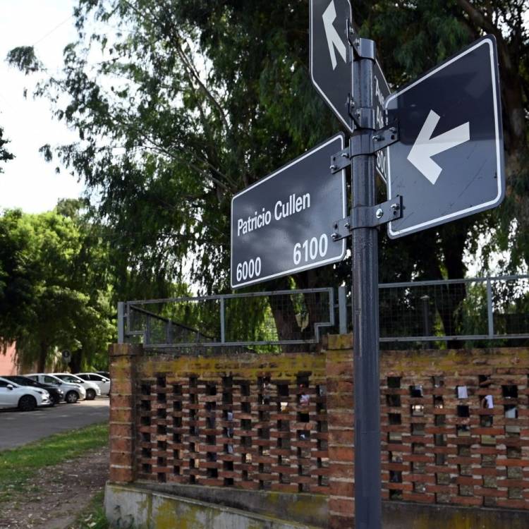 Manda peatones en Costanera: un tramo de Patricio Cullen cambia de sentido a partir del miércoles