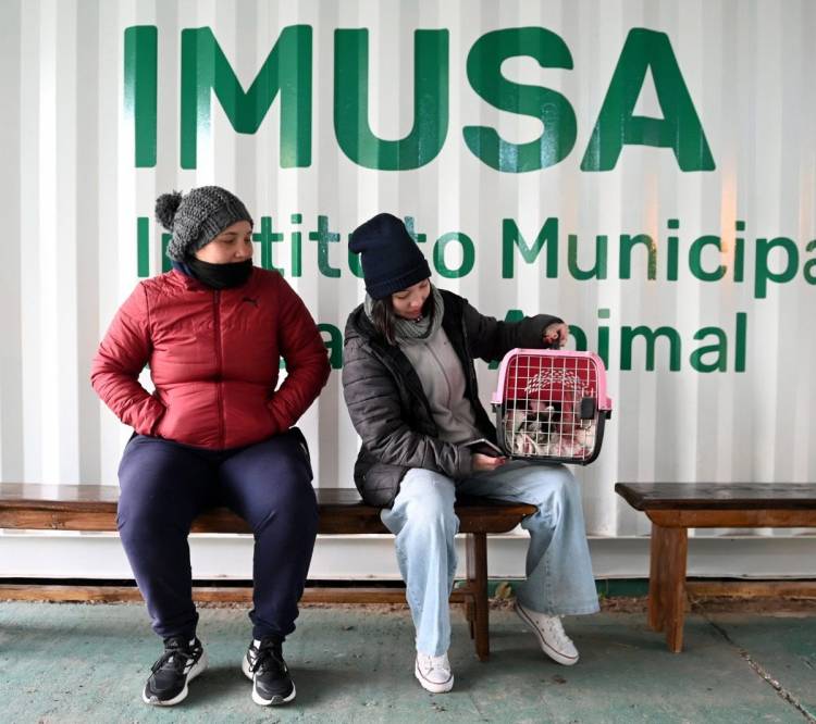 “Se duplicaron los números”: las nuevas instalaciones del IMUSA en el Jardín Botánico cumplieron un mes