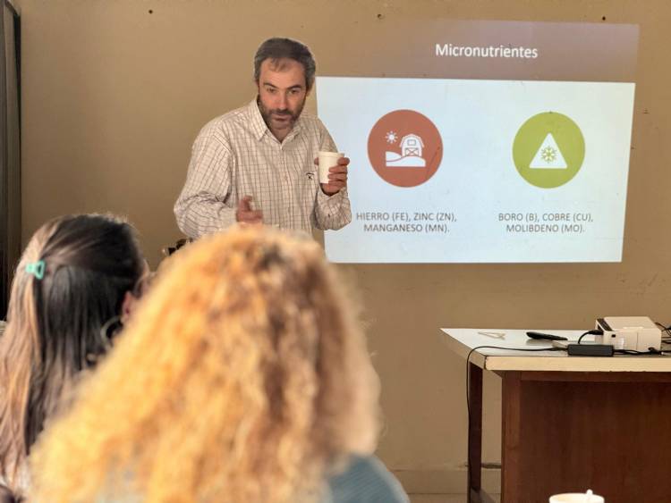 Se lanzaron los Cursos de Empleo Verde