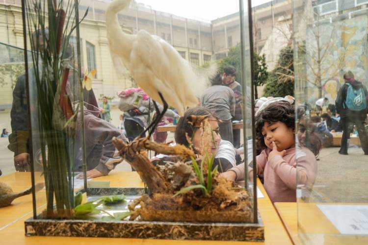 ¡Fantásticas Vacaciones!: más de 100 mil personas ya disfrutaron de las propuestas de Provincia