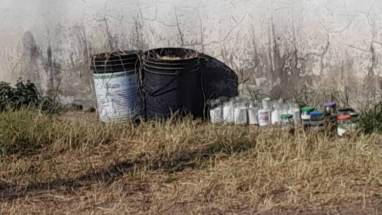 La Municipalidad de Santo Tomé Refuerza la Prevención del Dengue con Operativos de Descacharrado y Eco Escuelas Durante el Receso Escolar