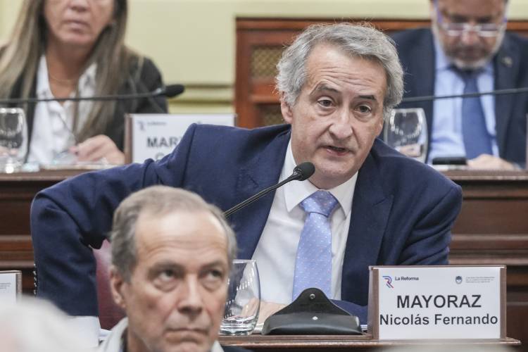 Nicolás Mayoraz cuestionó la urgencia del oficialismo: "La convención ya parece un montaje"