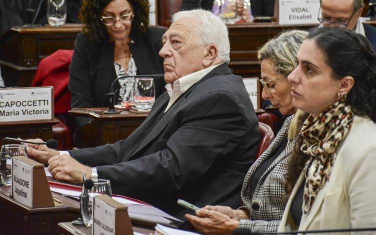 Reforma constitucional: confirman que la limitación de la reelección de legisladores será desde el período que viene