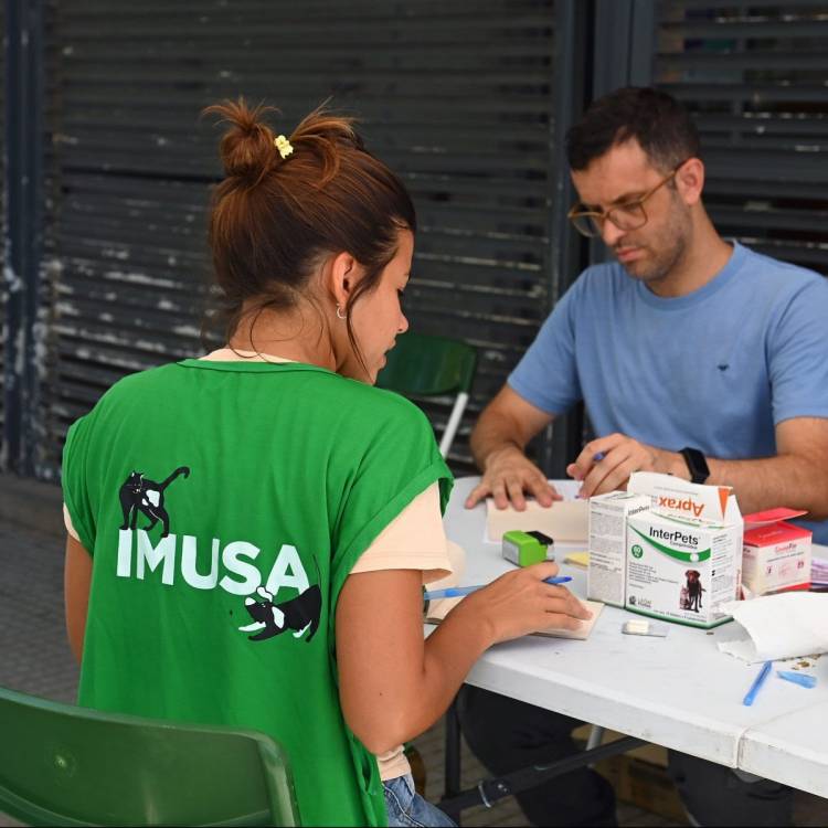 El IMUSA realizará castraciones masivas en barrio Centenario