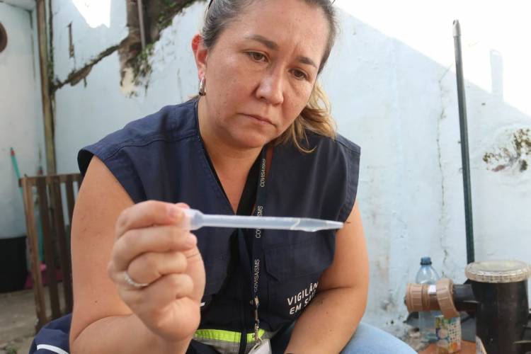 Brasil superó los 4 millones de casos de dengue