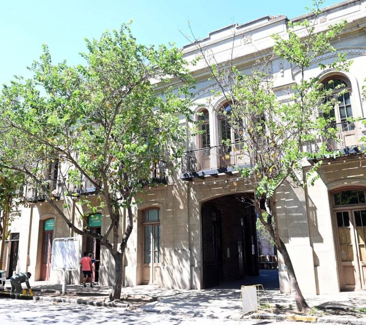 Se dieron a conocer las obras seleccionadas para el ciclo “Teatro en el Mercado 2025”