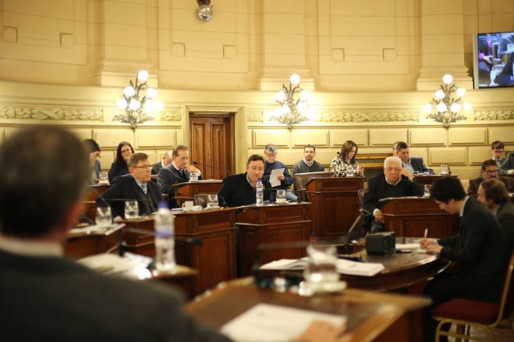 Sentido homenaje del Senado a Alejandra “Locomotora” Oliveras