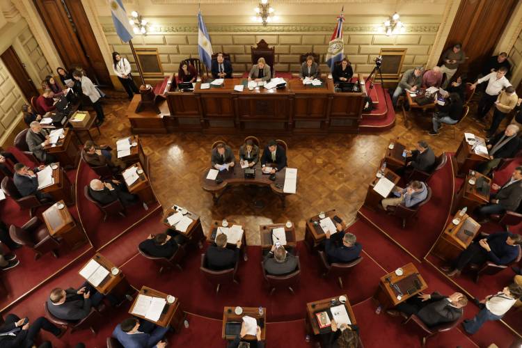 Sentido homenaje del Senado a Alejandra “Locomotora” Oliveras