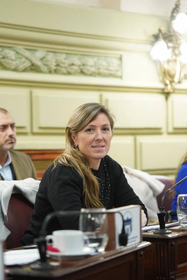 Salud mental para policías, Armas Belavi pidió detalles del programa provincial 