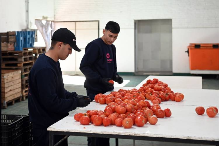 La Municipalidad afianza vínculos con el Banco de Alimentos y el Mercado de Abasto