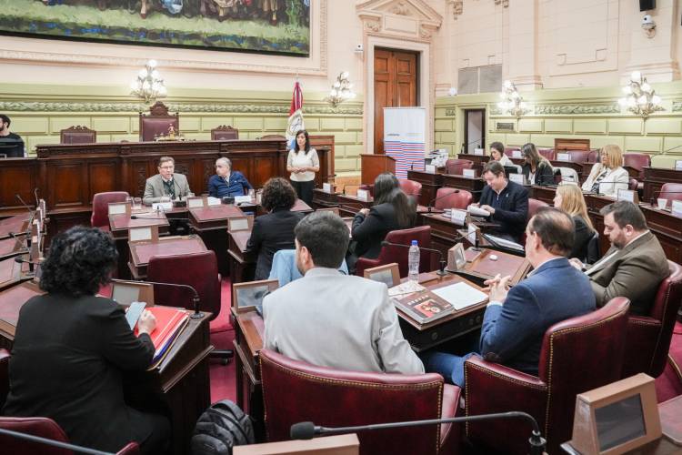 La Comisión de Poder Legislativo y Poder Ejecutivo recibió a expositores en la Cámara de Diputados