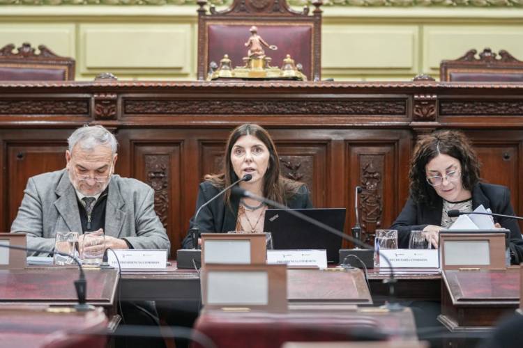 Funcionamiento del Estado, seguridad y participación ciudadana en el eje del debate