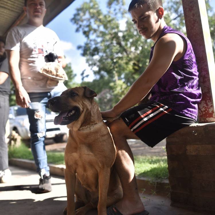 IMUSA superó las 10.000 atenciones veterinarias en el mes de julio