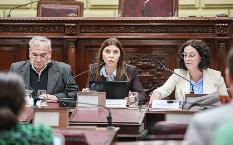 La Comisión de Funcionamiento del Estado y Participación Ciudadana abordó diversos temas