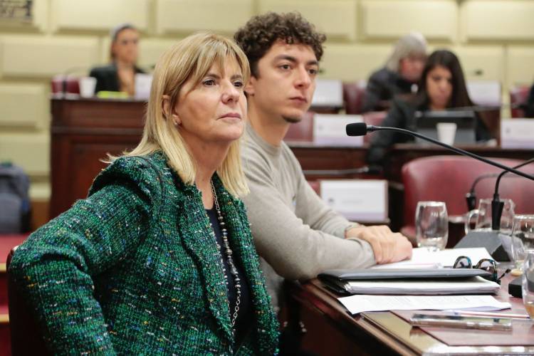 La Comisión de Declaraciones, Derechos y Garantías avanzó en el análisis de las propuestas