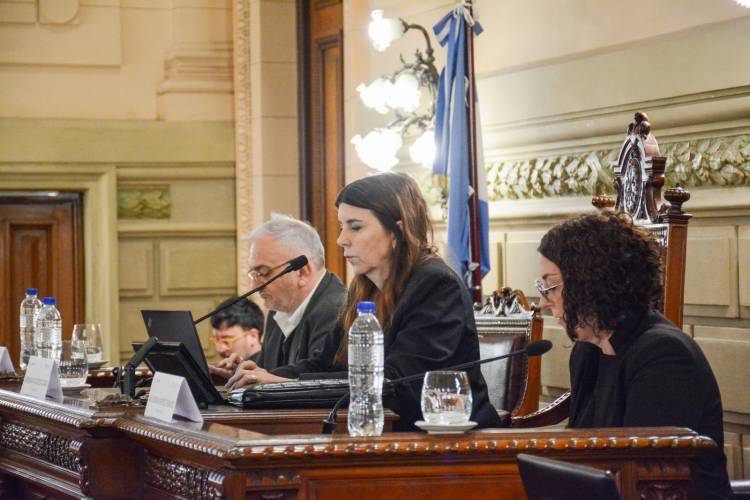 La Comisión de Funcionamiento del Estado y Participación Ciudadana emitió 11 dictámenes
