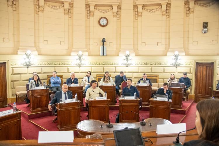 La Comisión de Funcionamiento del Estado y Participación Ciudadana emitió 11 dictámenes