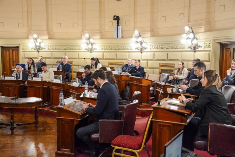 La Comisión de Funcionamiento del Estado y Participación Ciudadana emitió 11 dictámenes