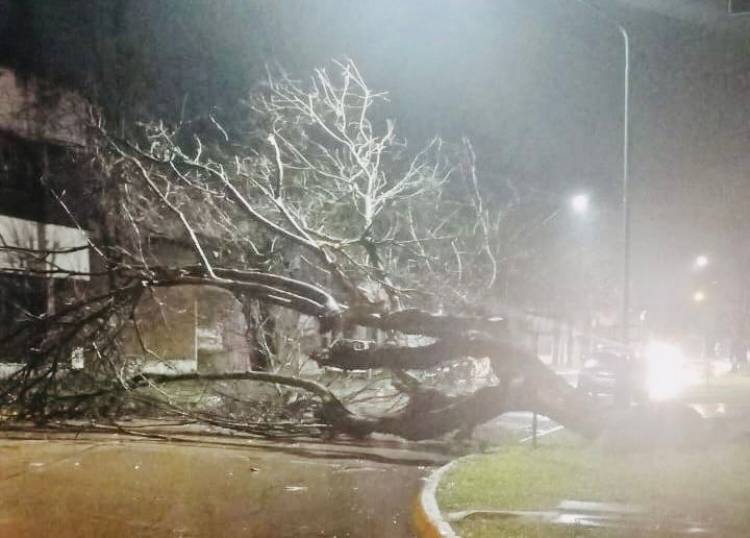 La Municipalidad continúa trabajando frente a las condiciones climáticas que afectan a nuestra ciudad