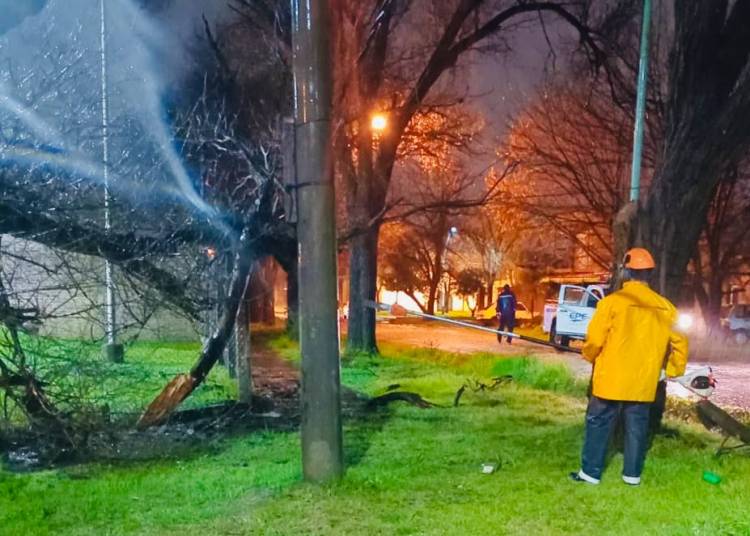 La Municipalidad continúa trabajando frente a las condiciones climáticas que afectan a nuestra ciudad