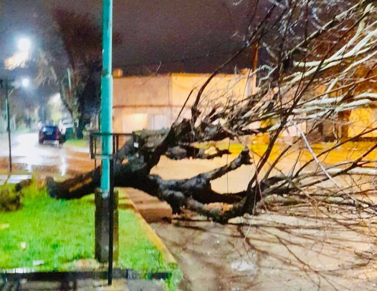 La Municipalidad continúa trabajando frente a las condiciones climáticas que afectan a nuestra ciudad