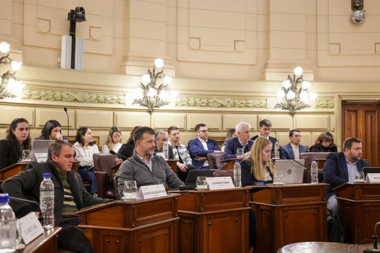 La Comisión de Declaraciones, Derechos y Garantías emitió 12 dictámenes