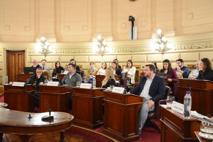 La Comisión de Declaraciones, Derechos y Garantías emitió 12 dictámenes