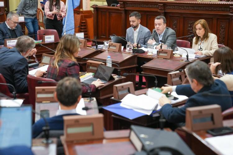 La Convención Reformadora ingresó en la etapa de redacción del nuevo texto constitucional