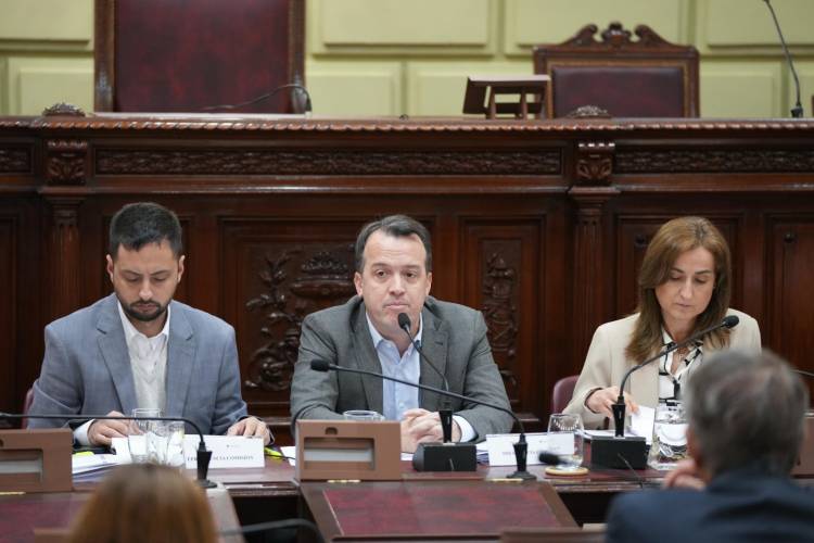 La Convención Reformadora ingresó en la etapa de redacción del nuevo texto constitucional