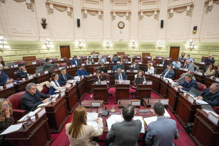 La Convención Reformadora ingresó en la etapa de redacción del nuevo texto constitucional