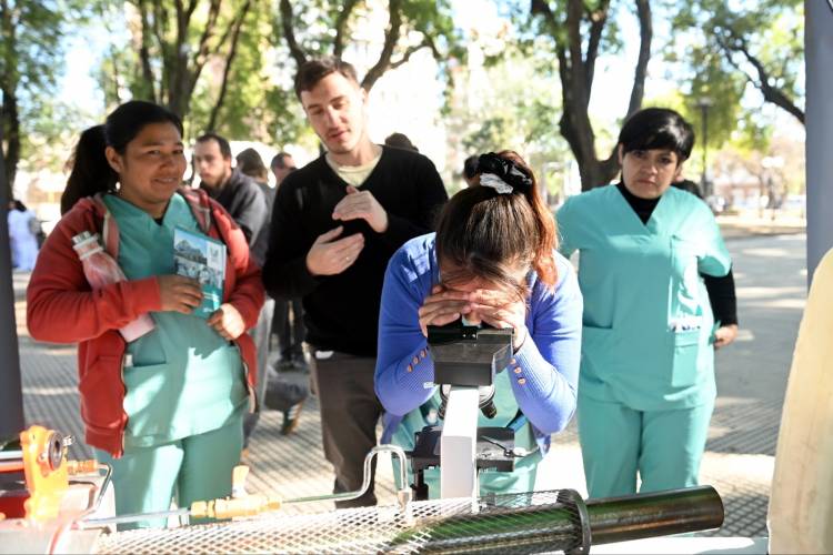 Dengue: “El descacharrado en los hogares es la clave para la prevención