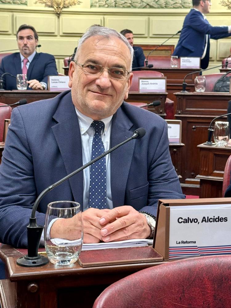 La Convención Reformadora aprueba proyecto de Alcides Calvo para reconocer la participación ciudadana e institucional en el proceso constitucional