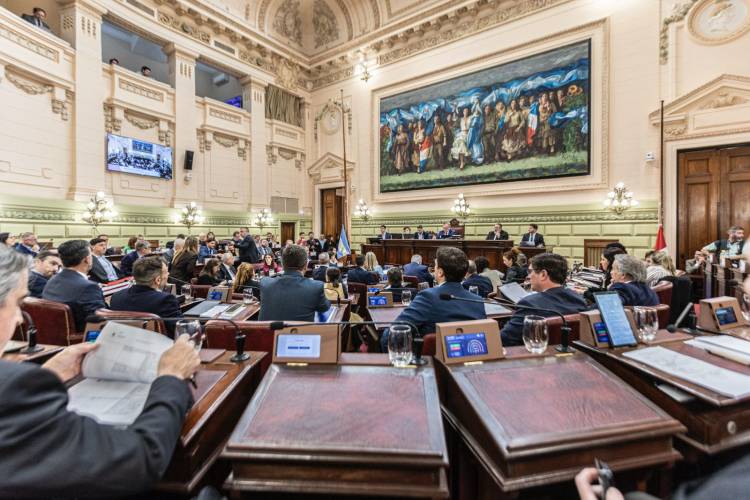 La Provincia reconoce la existencia de los Colegios y Consejos Profesionales creados por ley