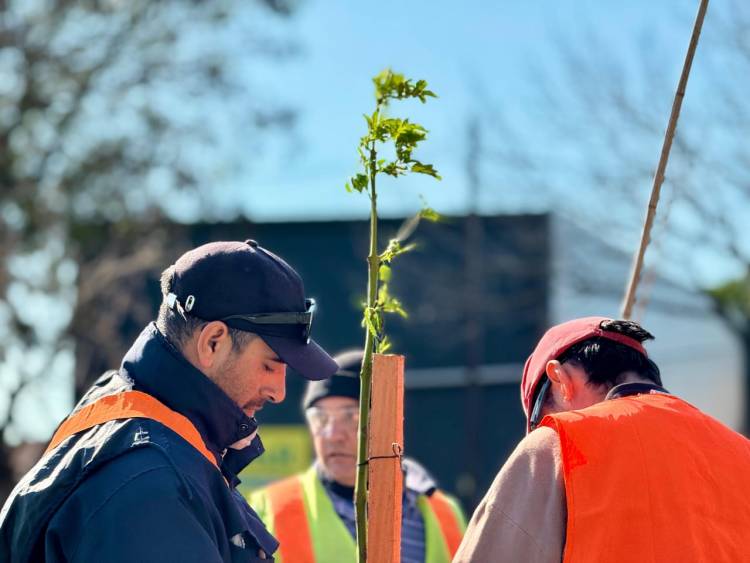 Santo Tomé celebró el Día del Árbol con una jornada de plantación