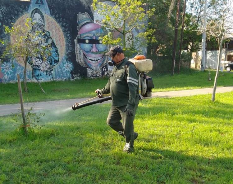 La Municipalidad comenzó a fumigar en espacios verdes de cara a la temporada de verano
