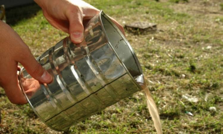 La UNL brinda recomendaciones para evitr la propagación del dengue