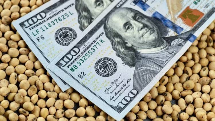 Arca cerró la registración del cupo de US$7.000 millones previsto por el decreto 682/2025
