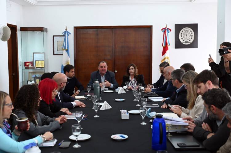 Poletti recibió a los concejales y les presentó el informe del Plan de Iluminación